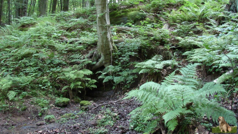 Ritterstein Nr. 209-7a Rodalb-Ursprung.JPG - Ritterstein Nr.209 Rodalb-Ursprung